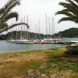 environmental-consultancy-1